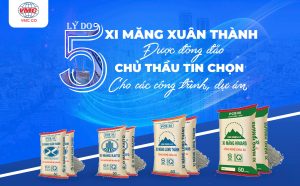 5 Lý do xi măng Xuân Thành được đông đảo chủ thầu tin chọn cho các công trình, dự án xây dựng